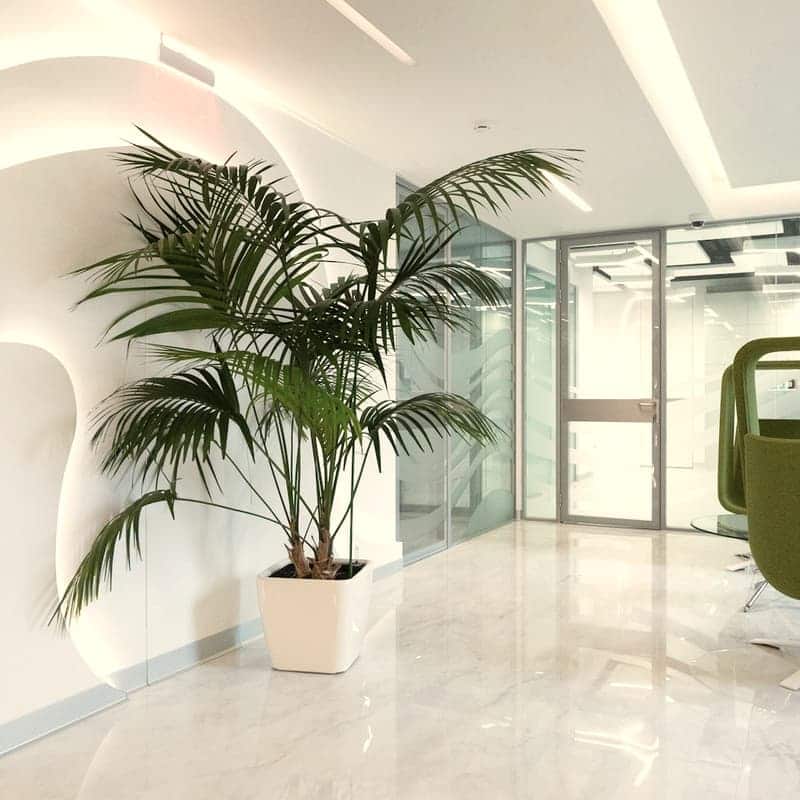 The clinic entrance